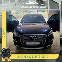 Audi q2l e-tron