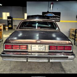chevrolet caprice classic 1965 back view